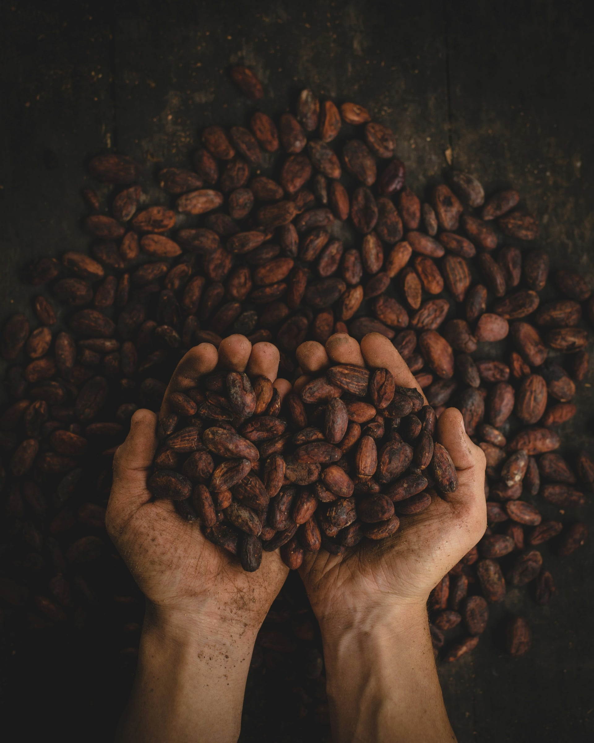 Cacao ceremony practice